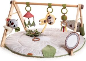 Tiny-Love-Luxe-voorkant.